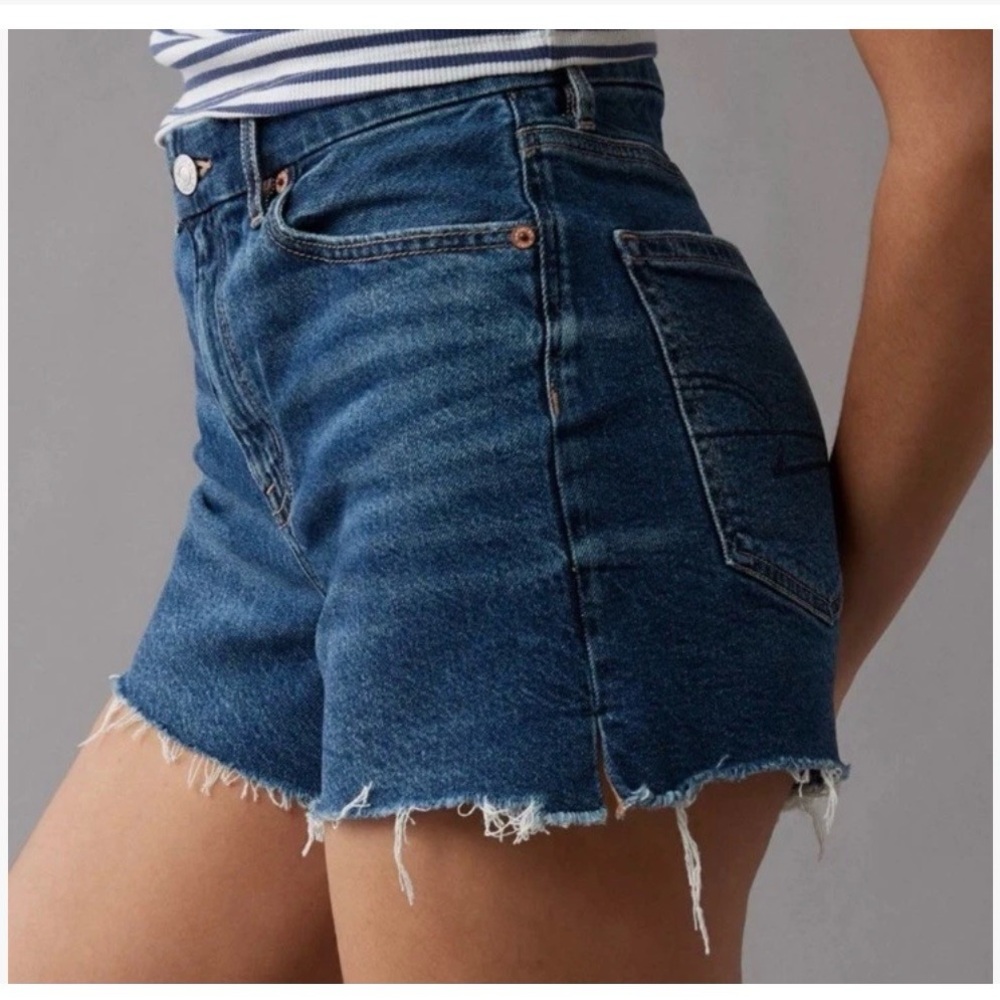 American Eagle Outfitters strigid relaxed curvy shorts, size 2